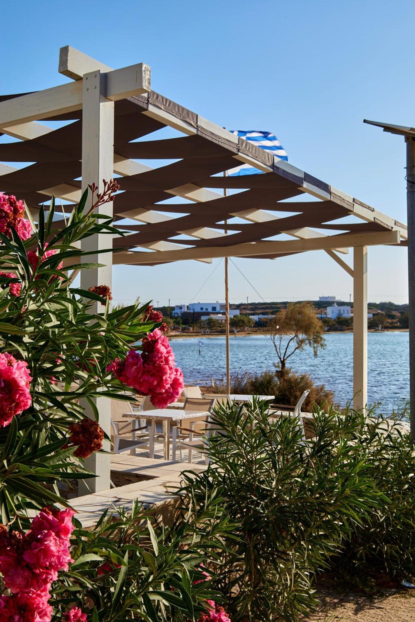 Theologos Beach Αντίπαρος Εξωτερικό φωτογραφία