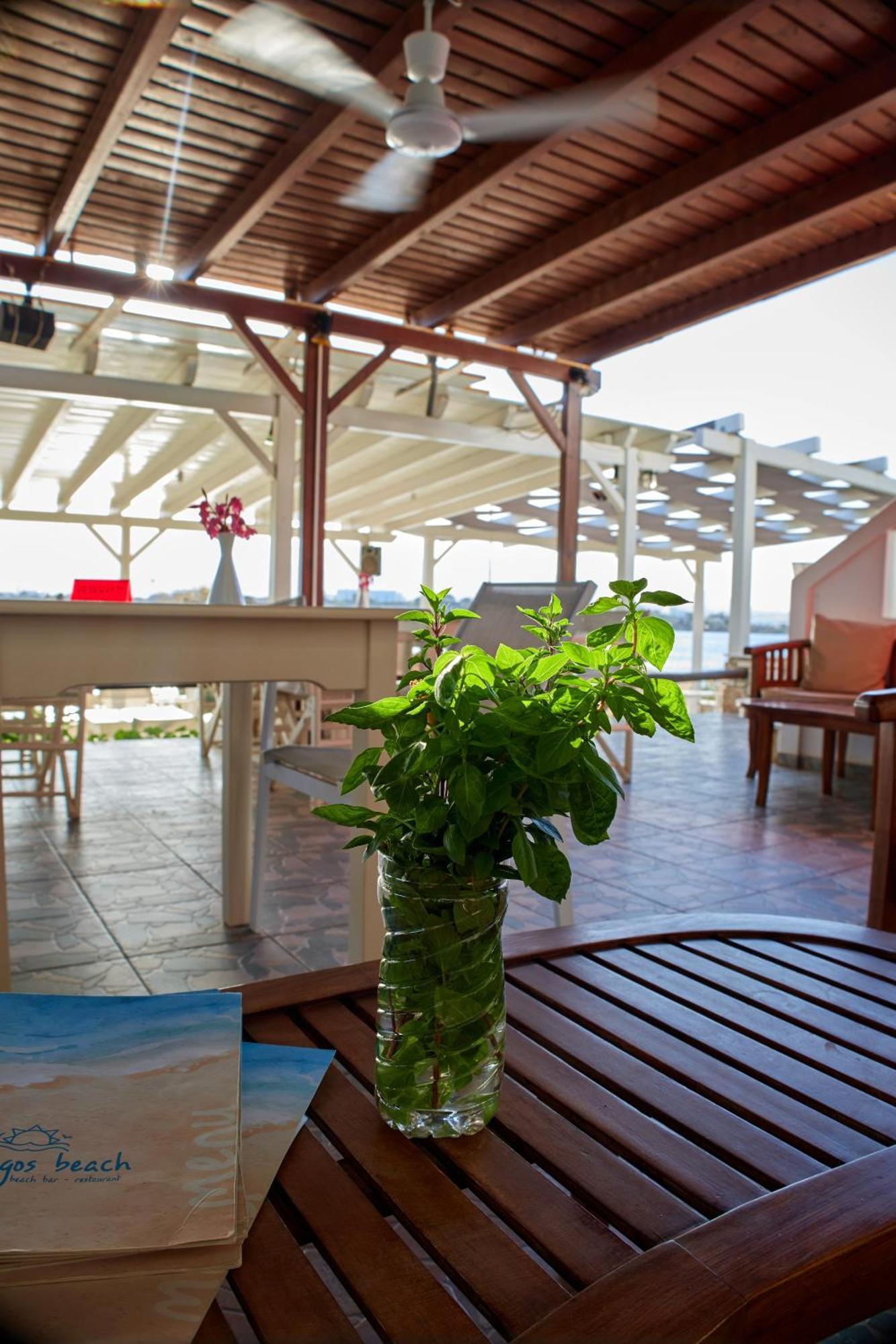 Theologos Beach Αντίπαρος Εξωτερικό φωτογραφία
