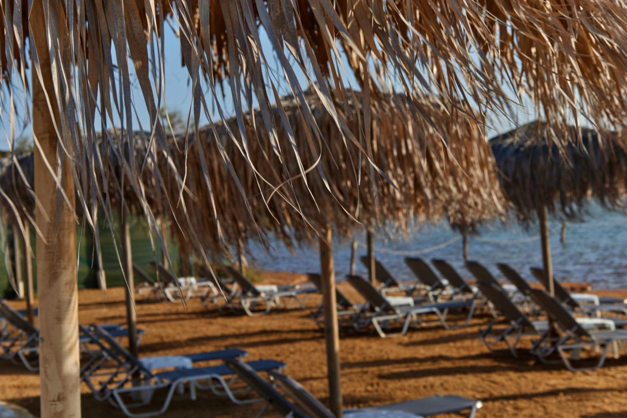 Theologos Beach Αντίπαρος Εξωτερικό φωτογραφία