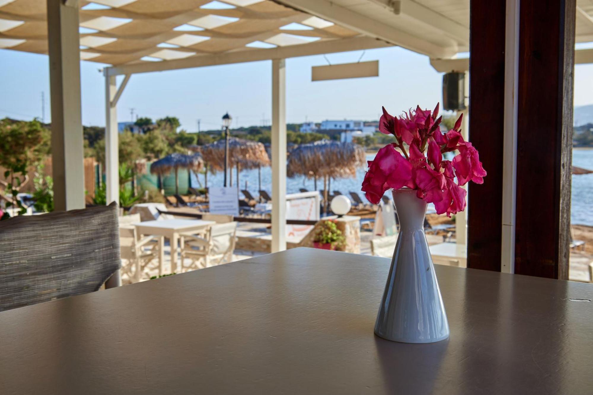 Theologos Beach Αντίπαρος Εξωτερικό φωτογραφία
